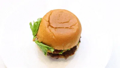 Burger Composition State Photo Introduction