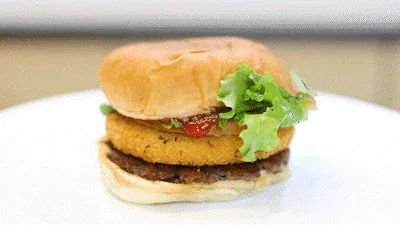 Cheeseburger Type Comparison Review