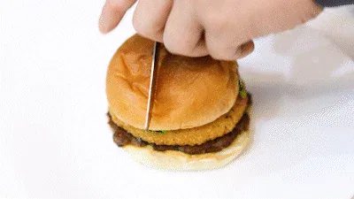 Hamburger Review Taste Feedback
