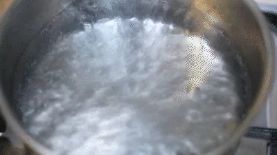 調理完了ビジュアル撮影