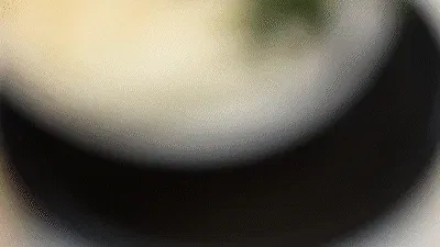 Presentación de las características de los fideos de udon