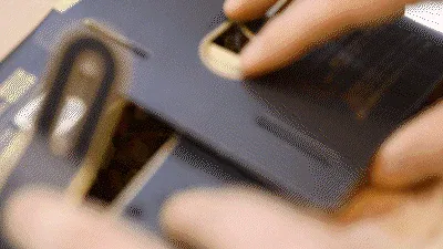 さまざまなソースの組み合わせを試食